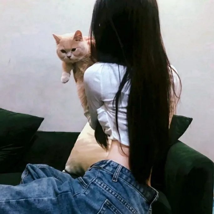 七号公馆